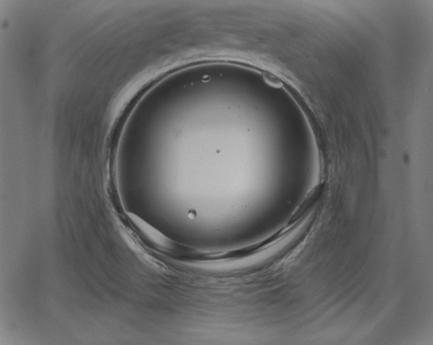 X0000066121511200603101222