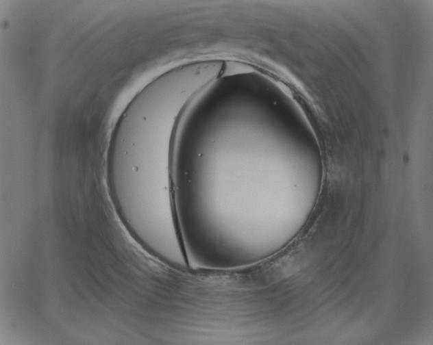 X0000066121512200603101222