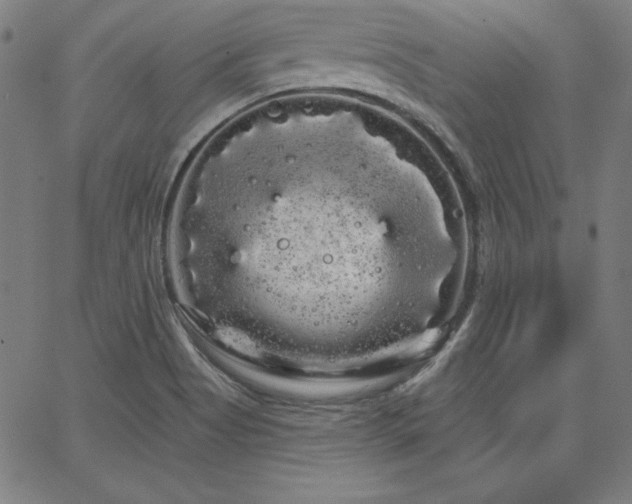 X0000066121513200603101222