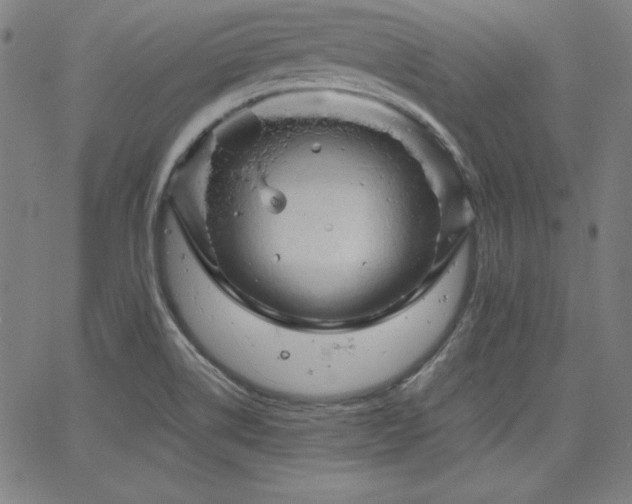 X0000066121514200603101222