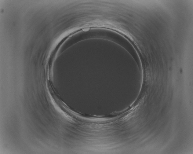 X0000066121515200603101222