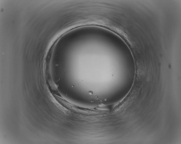 X0000066121516200603101223