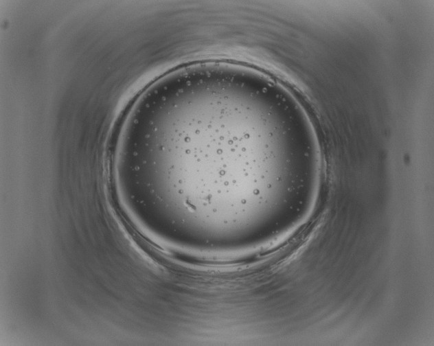 X0000066121517200603101223