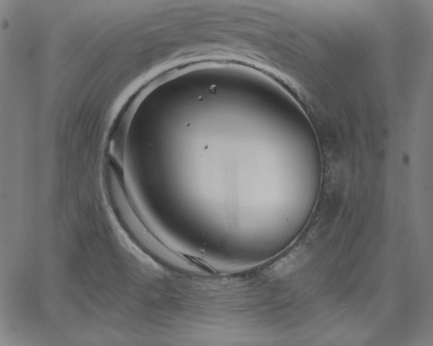 X0000066121518200603101223