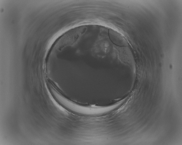 X0000066121519200603101223