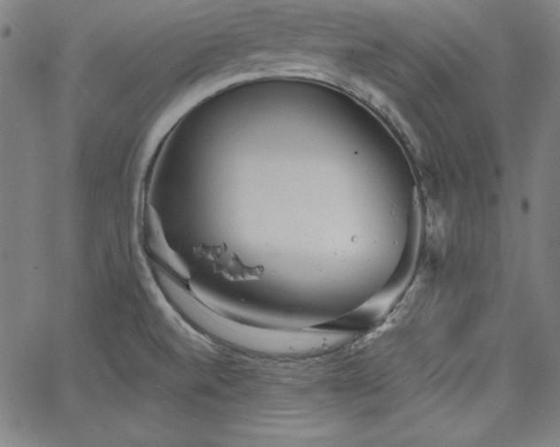 X0000066121520200603101223