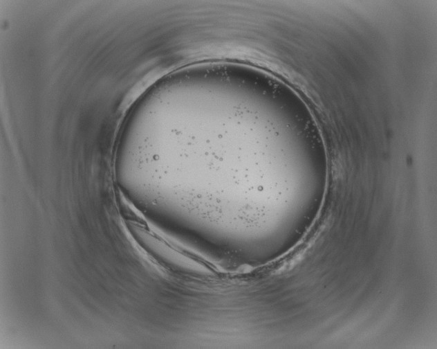 X0000066121521200603101223