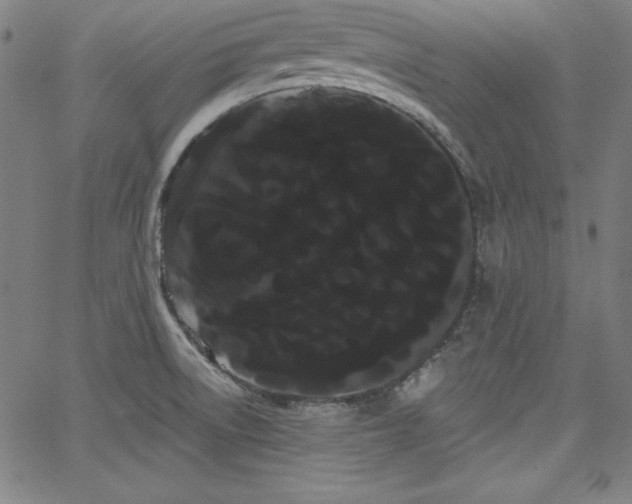 X0000066121522200603101223