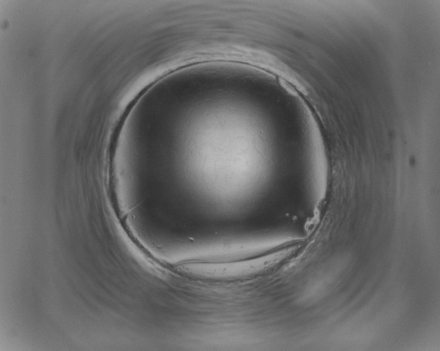 X0000066121523200603101223