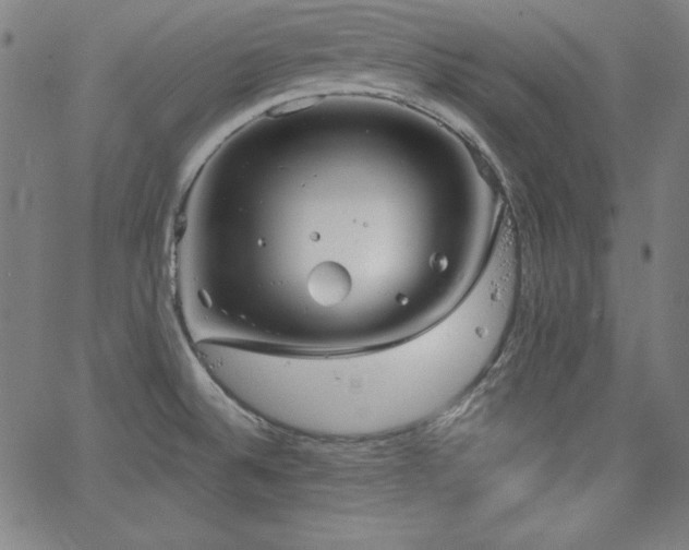 X0000066121524200603101223