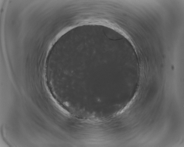 X0000066121525200603101223