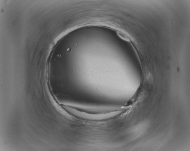 X0000066121526200603101223