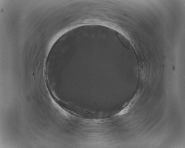 X0000066121527200603101223