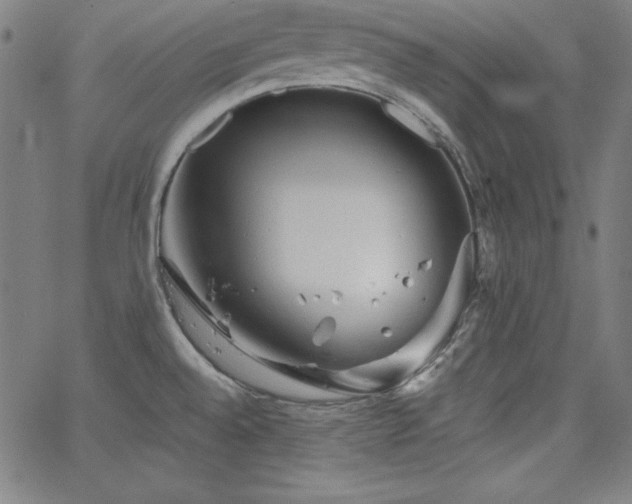 X0000066121528200603101223