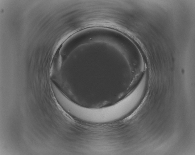 X0000066121529200603101223