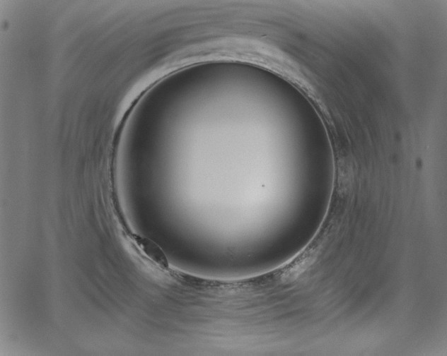 X0000066121530200603101223