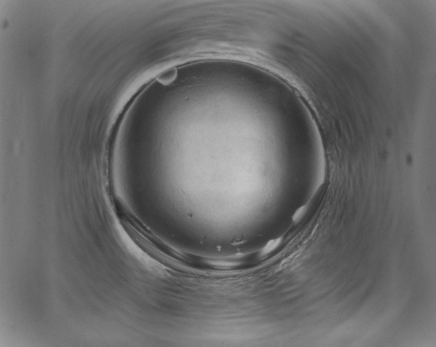 X0000066121531200603101223