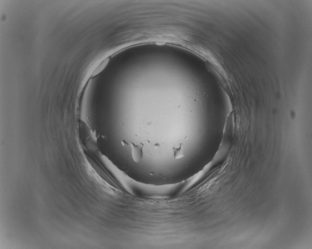 X0000066121532200603101223