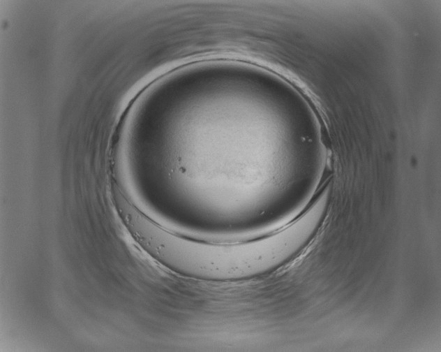 X0000066121534200603101223