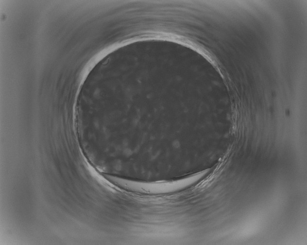 X0000066121535200603101223