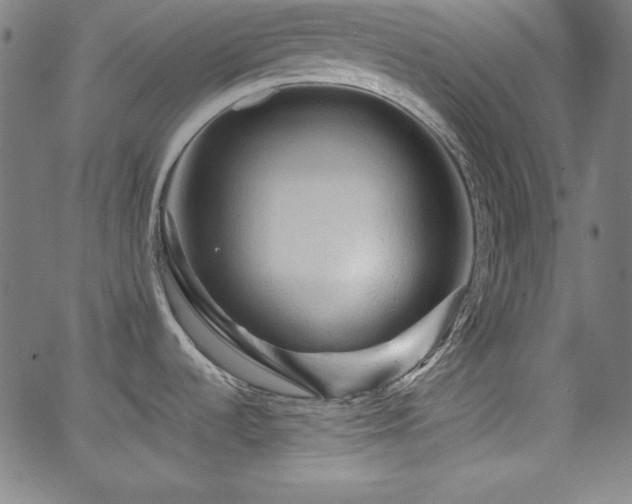 X0000066121536200603101223