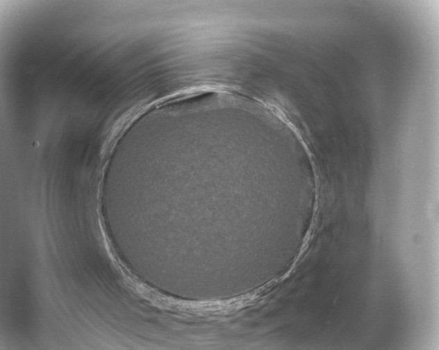 X0000066120001200603131340