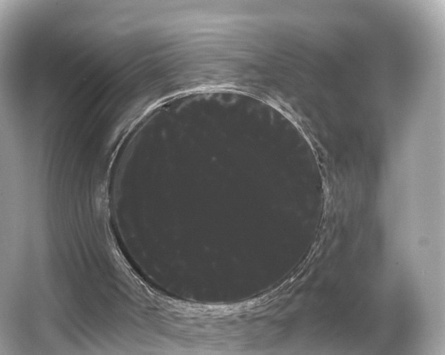 X0000066120002200603131340