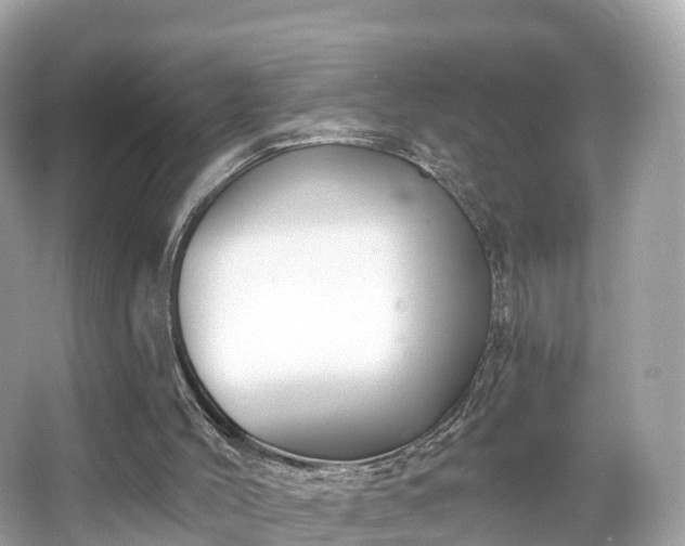 X0000066120004200603131340