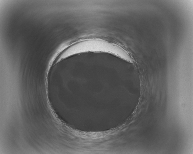 X0000066120006200603131340