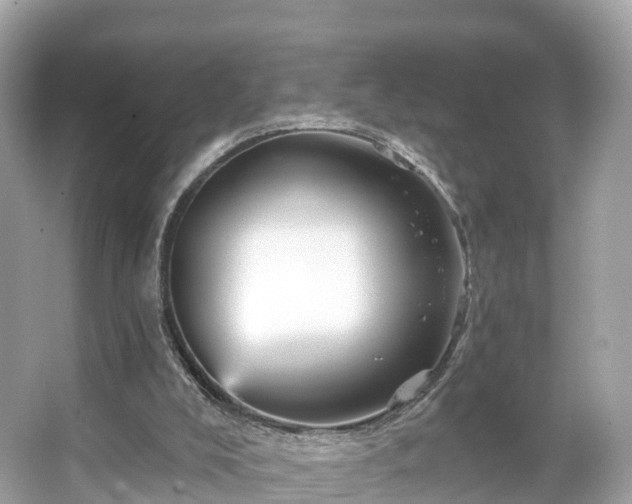 X0000066120008200603131340