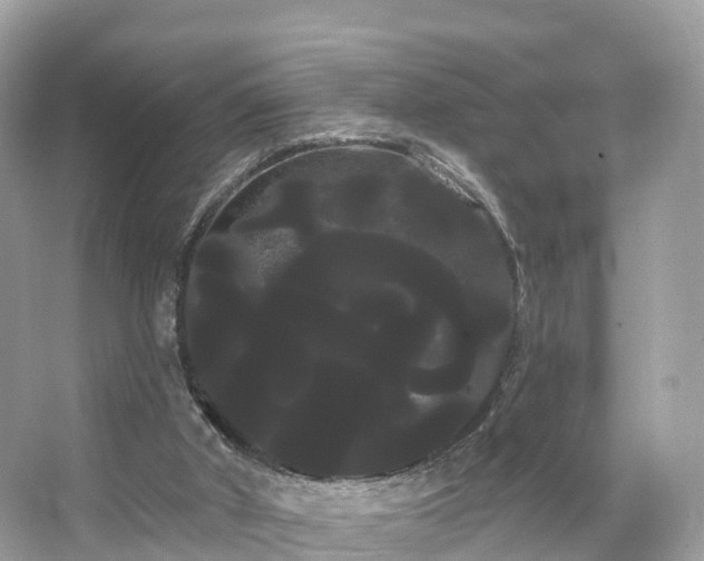 X0000066120010200603131340