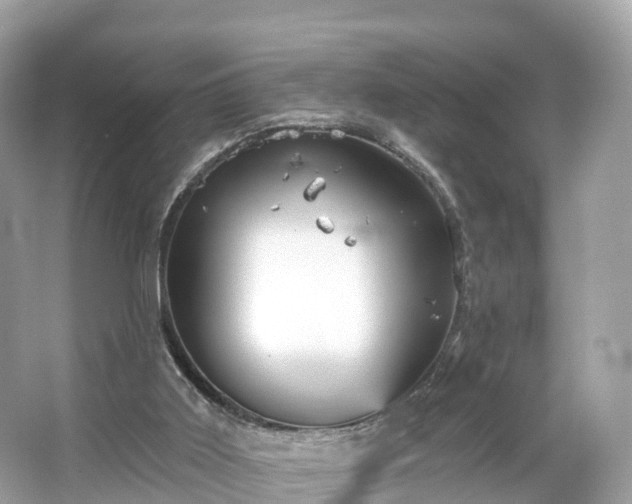 X0000066120011200603131340