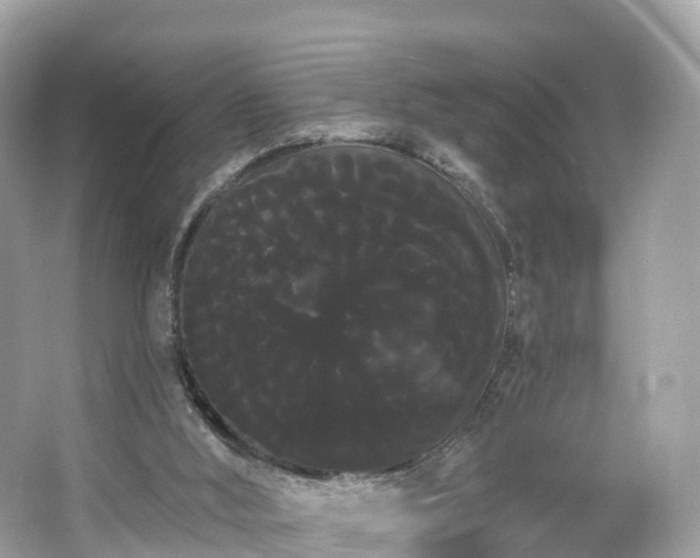 X0000066120012200603131340