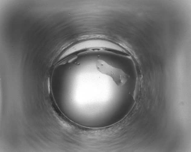 X0000066120013200603131340