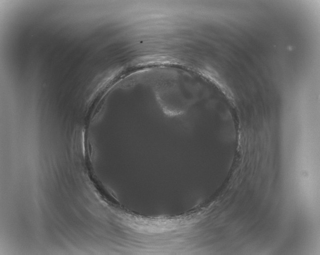 X0000066120014200603131340