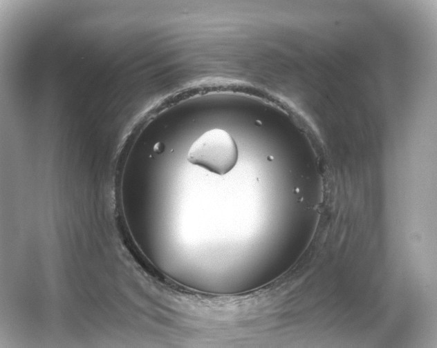 X0000066120015200603131340