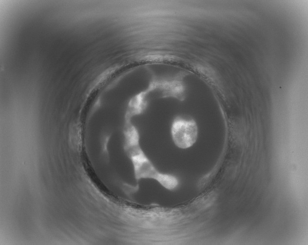 X0000066120016200603131340