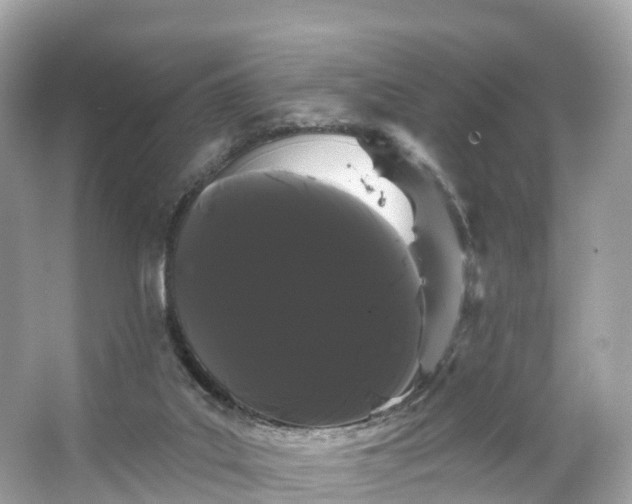 X0000066120019200603131340