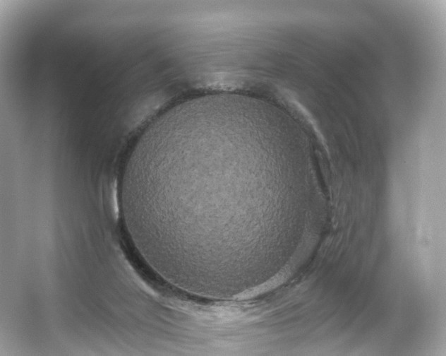 X0000066120020200603131340