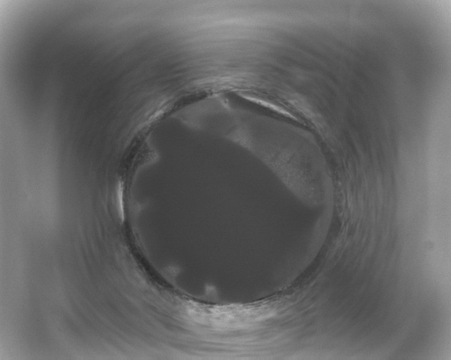 X0000066120022200603131340