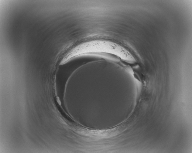 X0000066120023200603131340