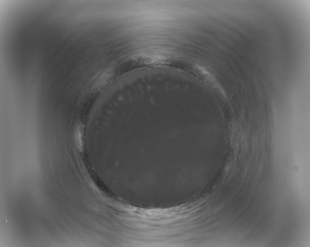 X0000066120026200603131340