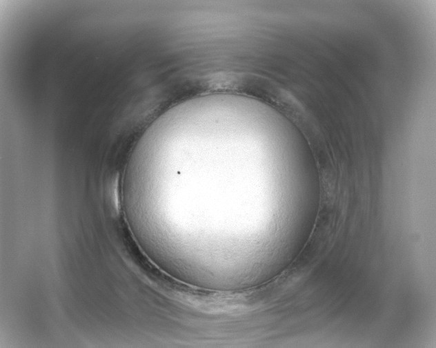 X0000066120028200603131340