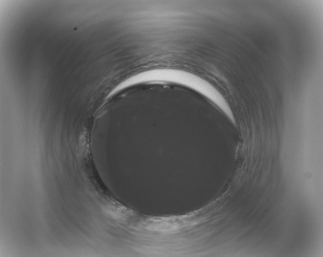 X0000066120029200603131340