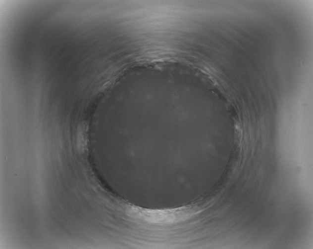 X0000066120030200603131340