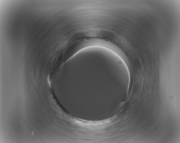 X0000066120031200603131340