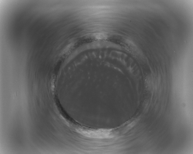 X0000066120032200603131340