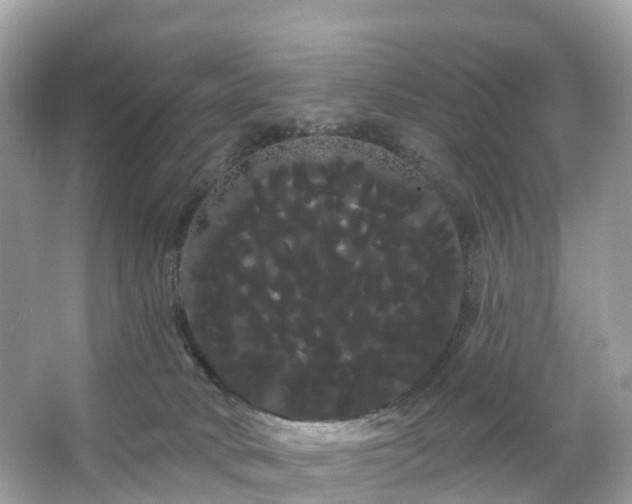 X0000066120034200603131340