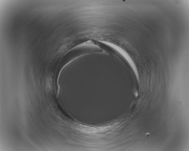 X0000066120035200603131340