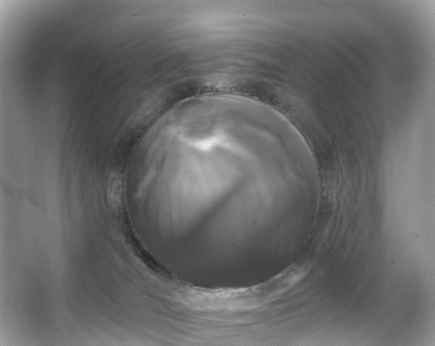 X0000066120036200603131339